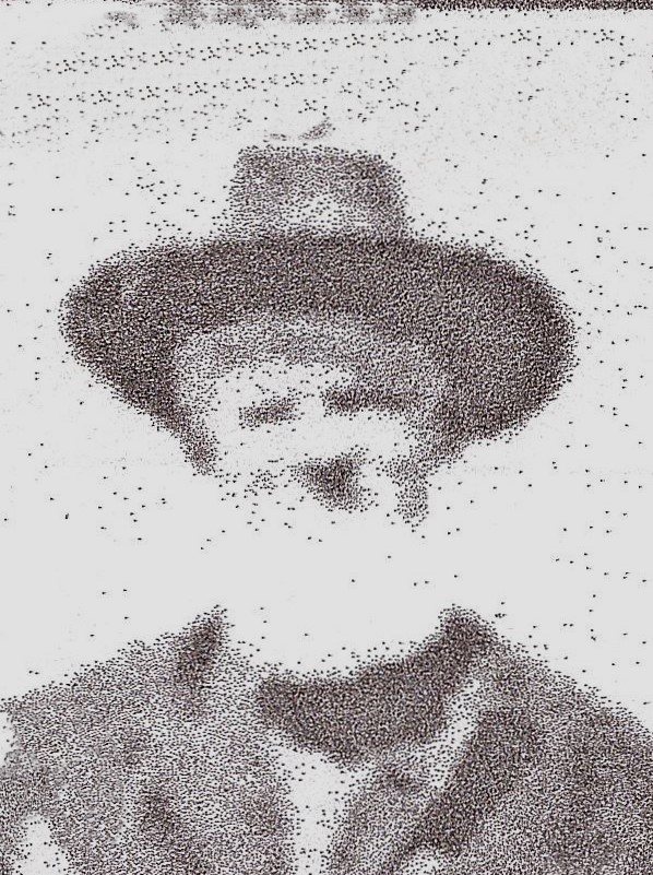 Thomas Andrew Robson (1836 - 1916) Profile